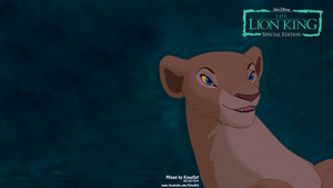  Nala Lion King HD Hintergrund Background 4/4