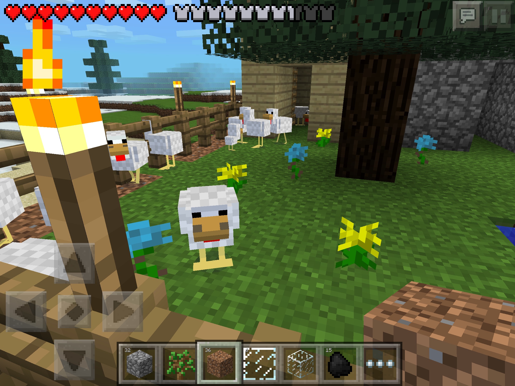 My chicken farm 