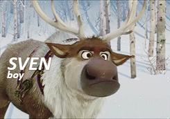 Sven name meaning