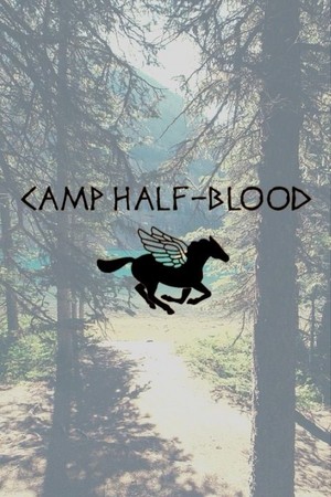  Camp Half Blood
