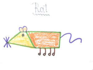 Rat drawing