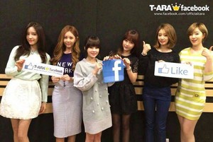  T-ara 脸谱