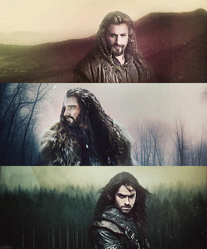  The Hobbit / Fili, Thorin & Kili