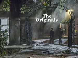  The Originals -Klaus/Elijah