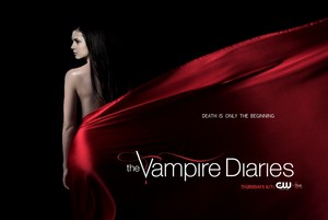  The Vampire Diaries Season 5 Poster