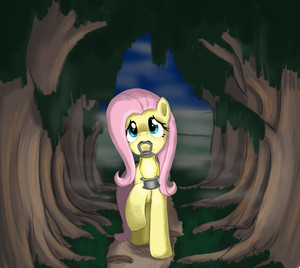  Fluttershy is Scared to go
