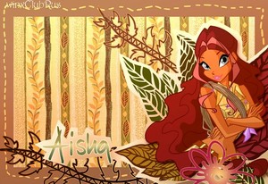  Aisha safari