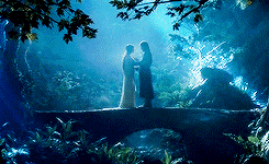  Arwen & Aragorn