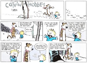 Calvin and hobbes