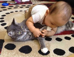  Baby Playing With The Cat