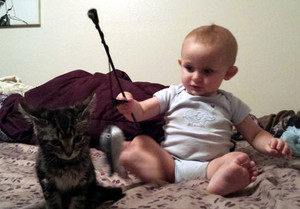  Baby Playing With The Kitten