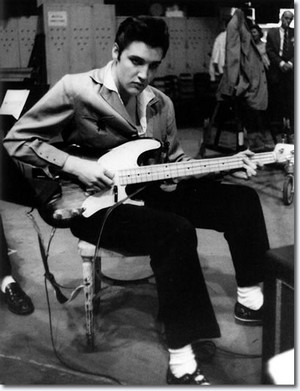  Elvis Presley ✨