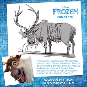  Frozen - Uma Aventura Congelante Fun Facts