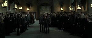  Harry Ginny Hermione