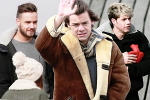  Harry, Niall and Liam 2014