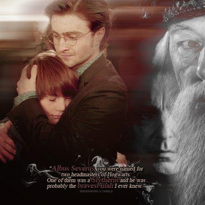  Harry Potter♥