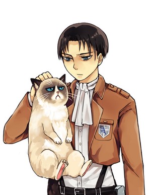 Levi and the grumpy cat
