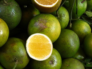  Market Limes