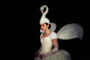 White swan dress.