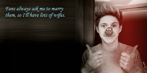  Niall Horan frases