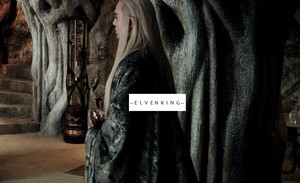 Mirkwood Elves of The Hobbit