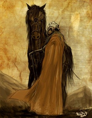 The Rider of Rohan door dwjohnson