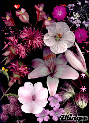  beautiful fiori <3