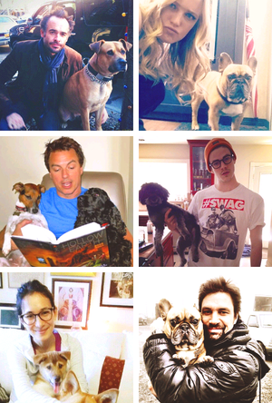  ऐरो Cast With कुत्ता