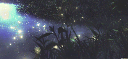 Fireflies    