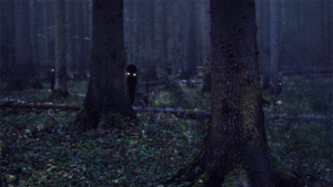  Forest Gif