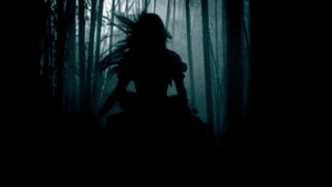  Forest Gif