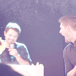  Jensen and Misha - Sunflower Gifts