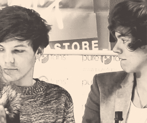  Louis and Harry ♥