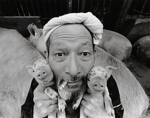  Otchan with his pigs