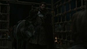  Robb in the North Remembers