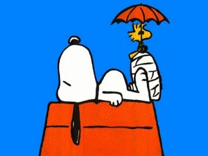  Snoopy the Dog ♥