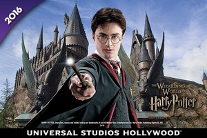  The Wizarding World of Harry Potter™