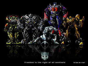  Transformers autobots