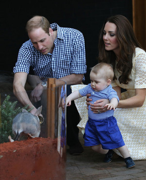  the first official trip overseas with their son, Prince George of Cambridge.