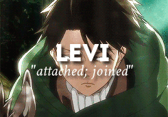  'Levi' name meaning