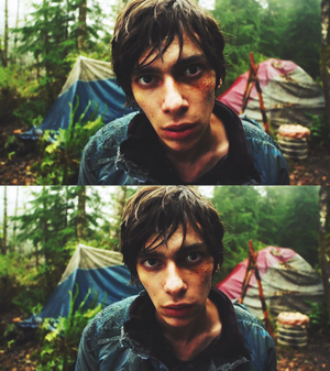  << The 100 >>