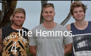  The Hemmos
