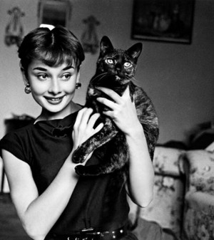  Actress, Audrey Hepburn Holding A Cat
