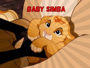 Baby Simba