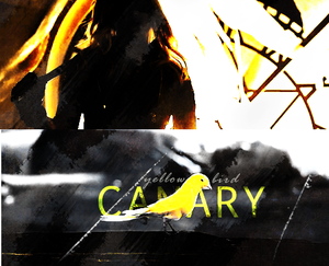  Black Canary