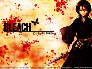  Bleach anime