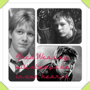  Fred Weasley Will Always Be In Our Hearts <3