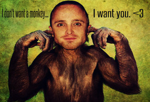  I don't want a monkey... I want you. <3