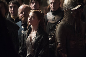  Margaery and Mace Tyrell Season 4