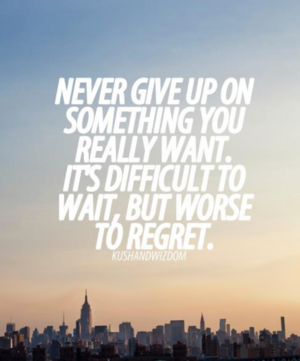 Never Give Up...